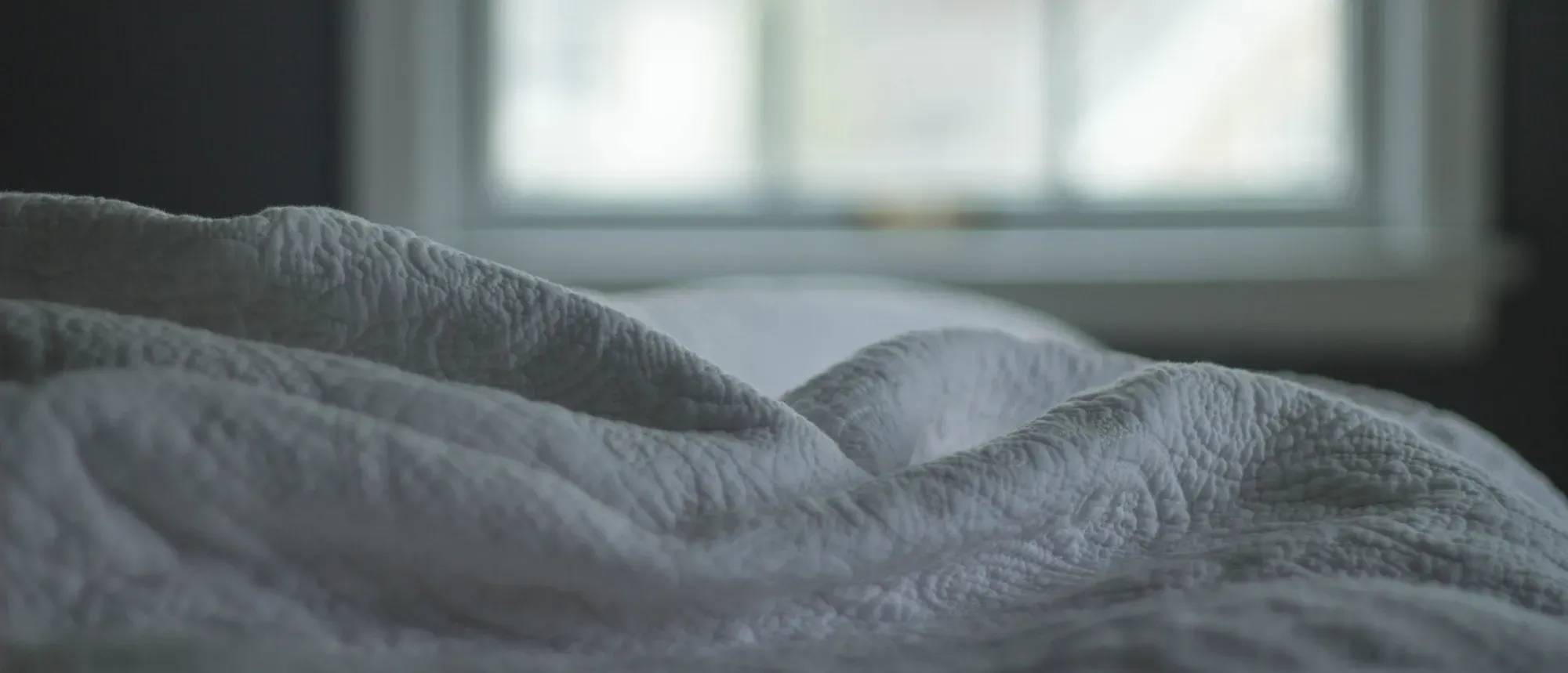 Hoe je bedwantsen in jouw vakantiewoning kunt voorkomen en behandelen