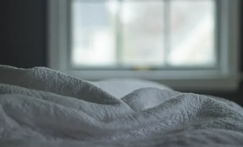 Hoe je bedwantsen in jouw vakantiewoning kunt voorkomen en behandelen.