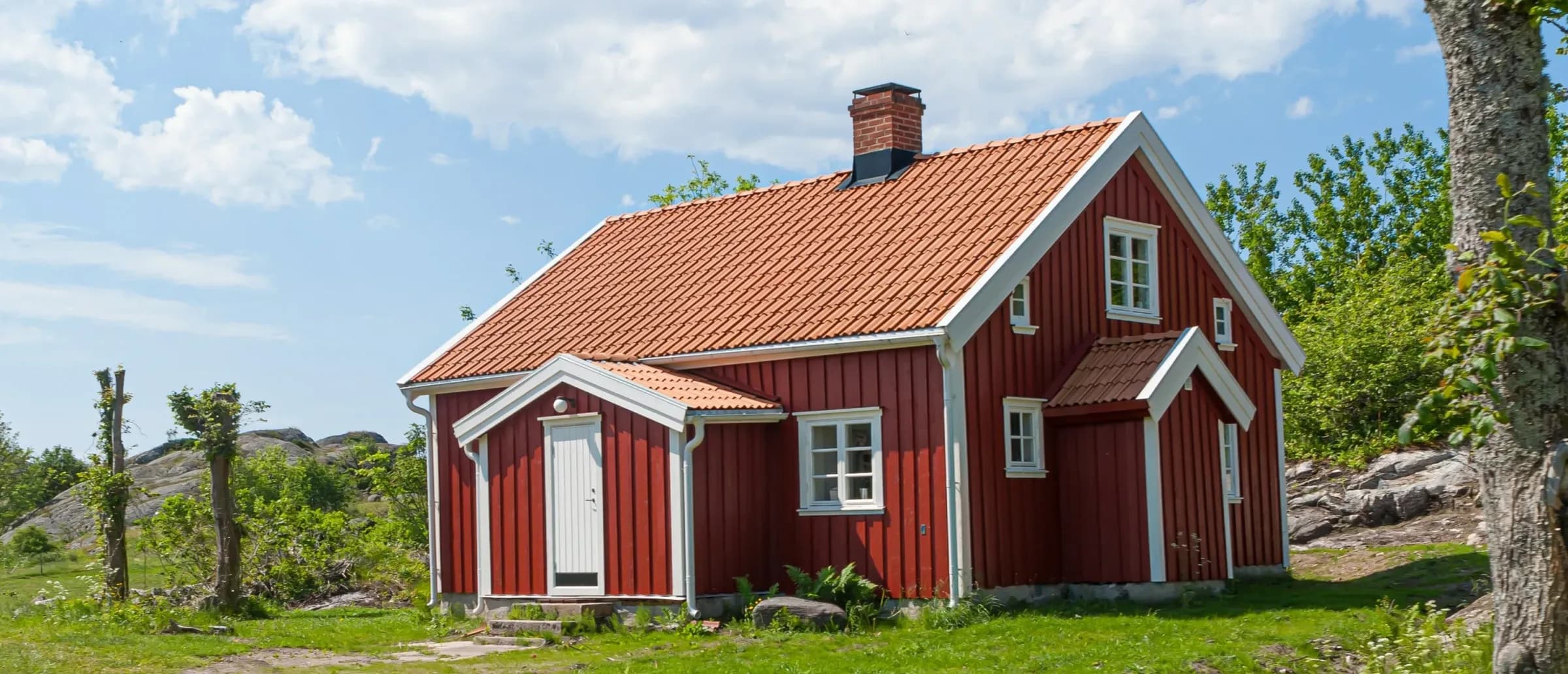 pexels trygve finkelsen 2893177 2560x1100 fc1a8616