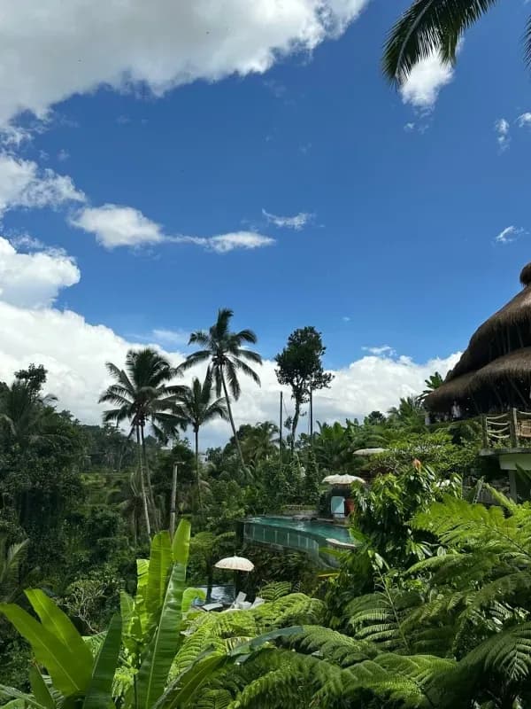 Het Dagelijkse Leven op Bali: Vrijheid, Werk en Gezinsleven