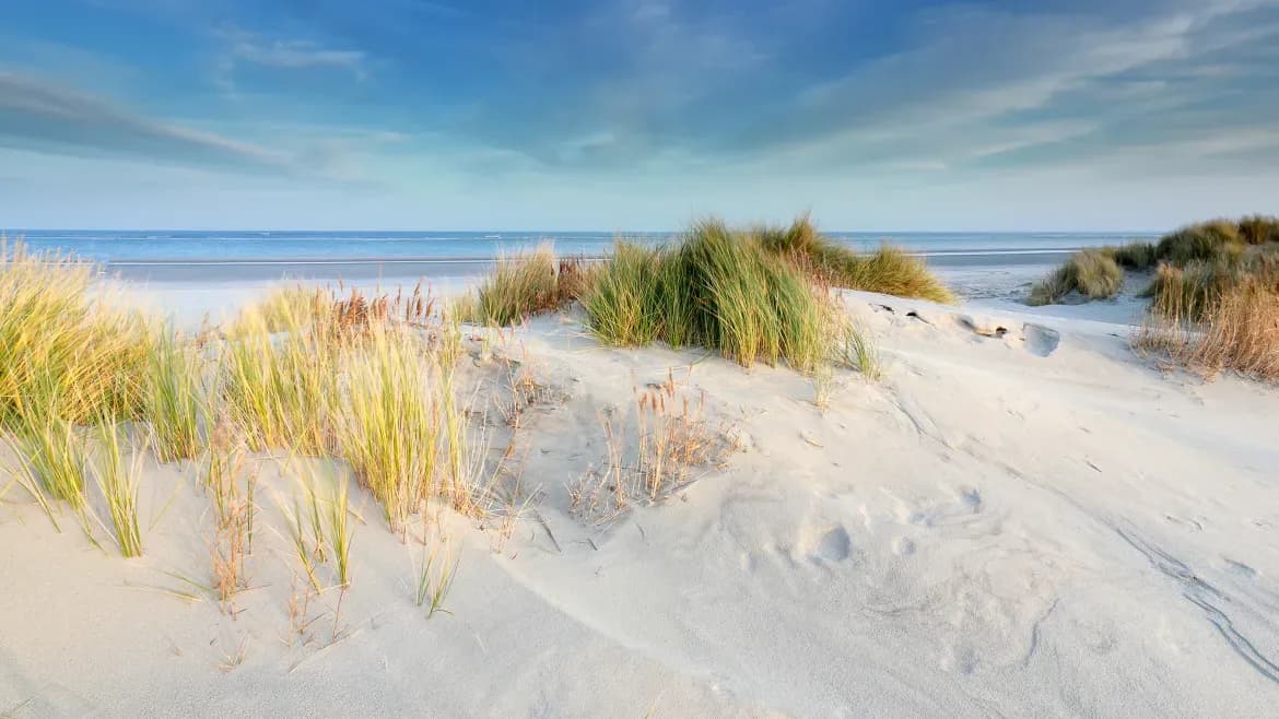 Starten zonder Geld of Vakantiewoning = Rent-To-Rent methode